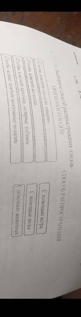 Извените что так плохо видно но сделайте