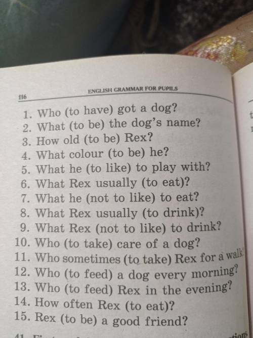 40.First read the text then answer the questions