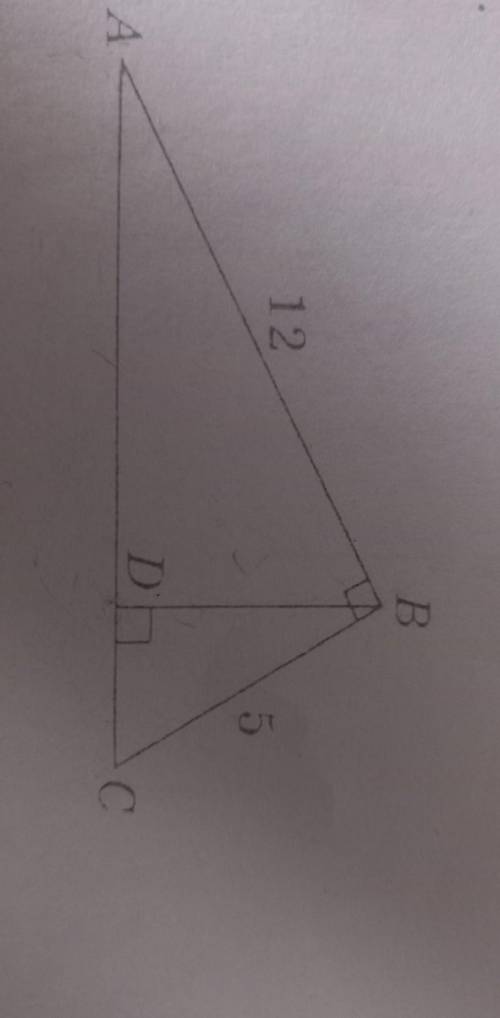Дано угол ABC =90°; BDпараллелен AC; AB=12; BC =5. Найти BD