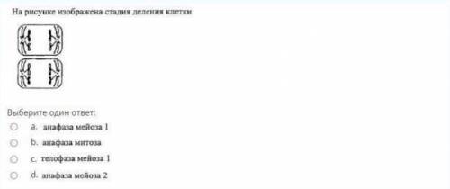 ответить на данные вопросы