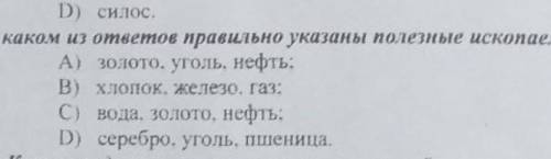 В каком ответе правельно написано полезные ископаемые