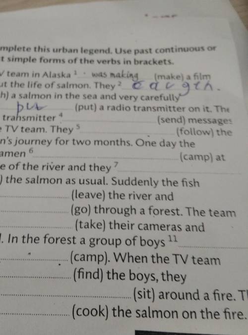 follow the Salmon's journey for two months. One day the cameramen (camp) at the side of the river an