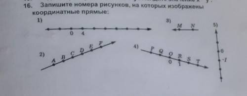 16. Запишите номера рисунков, на которых изображены Координатные прямые