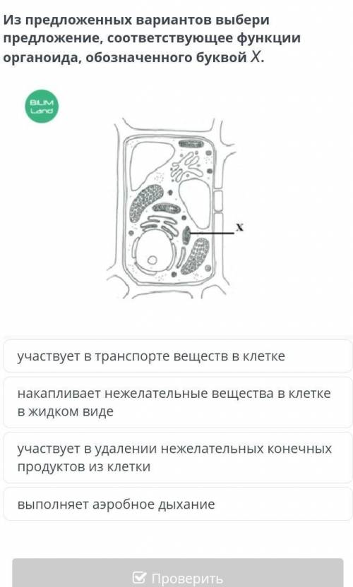 Хелп хелп хелп хелп хелп хелп хелп