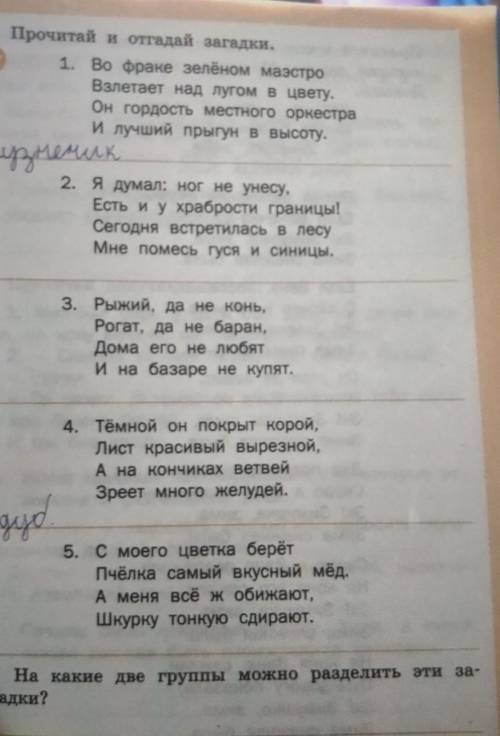 На какие две группы можно разделить эти за гадки?