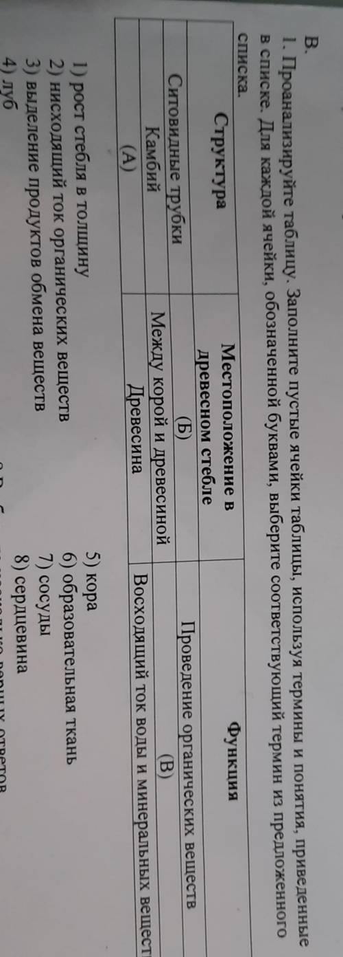 В. 1. Проанализируйте таблицу. Заполните пустые ячейки таблицы, используя термины и понятия, приведе