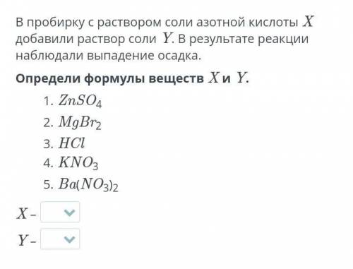 В пробирку с раствором соли азотной кислоты X добавили раствор соли Y. В результате реакции наблюдал