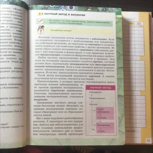 Биология параграф 4 конспект 6 клас конспект к этому параграфу