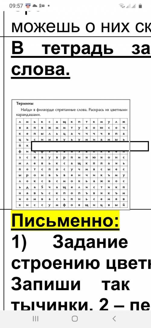 найдите слова в красворде даю 45б.