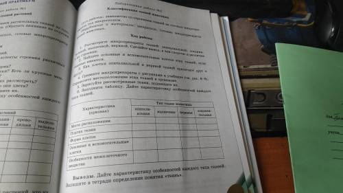 Ввполните лабараторную работу номер 2