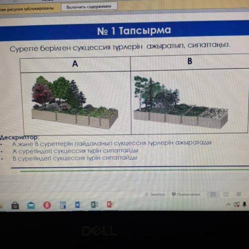 Суретте берылген сукцессия турлерын ажыратып, сипаттаныз