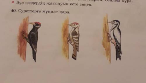 40.суреттерге мұқият қара. Осы олқылықтардың біреуін сипаттап жаз.