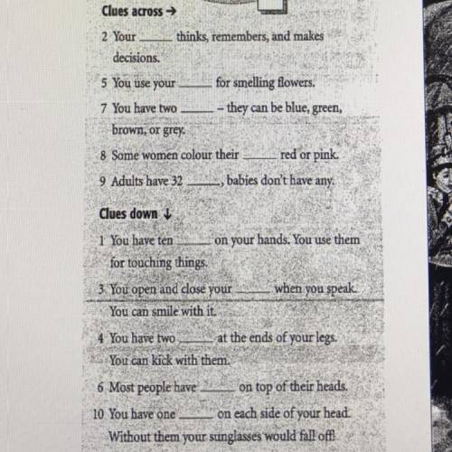 1 vocabulary the body comlete the crossword.