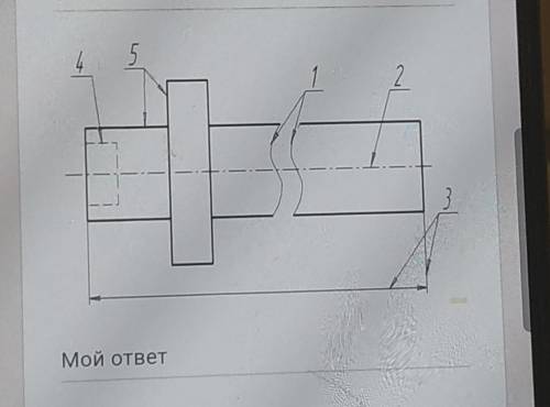 Как называется линия,отмечается на рисунке цифрой 1,2,3,4,5