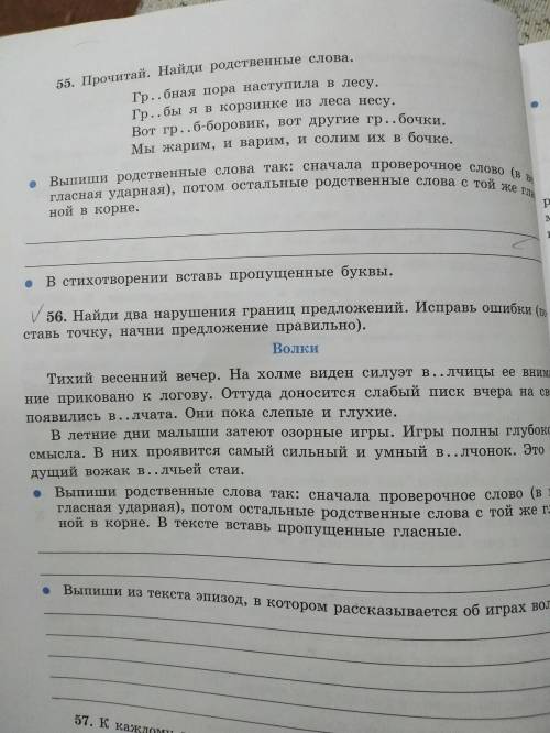 Подскажите с заданием , без игнора. Номер 56