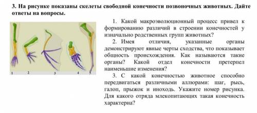 1. Какой макроэволюционный процесс привел к формированию различий в строении конечностей у изначальн