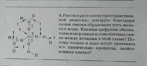 Рассмотрите схему пространственной решетки, которую благодаря своим связям образовали пять молекул в