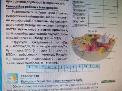 Будова еукаріотичної клітини