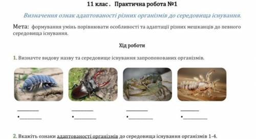 Практическая работа Биология