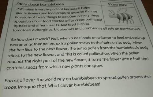 Facts about bumblebeesпереведите этот текст