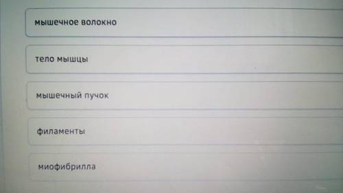 Расположи от самой маленькой структуры к самой большой: