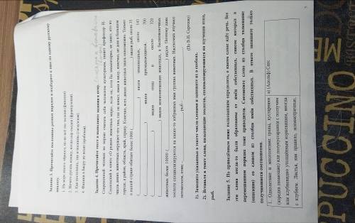 ответьте как можно правельнее