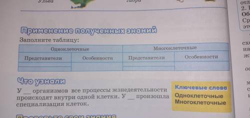 таблица и Что узнали(текст)