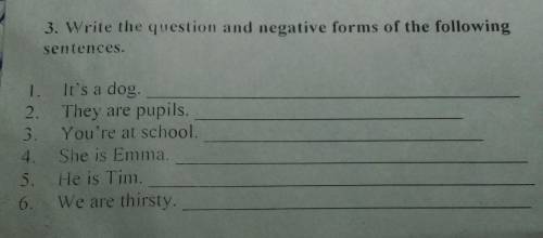 Write the question and negative forms of the following sentences. 1. It's a dog. 2. They are pupils.