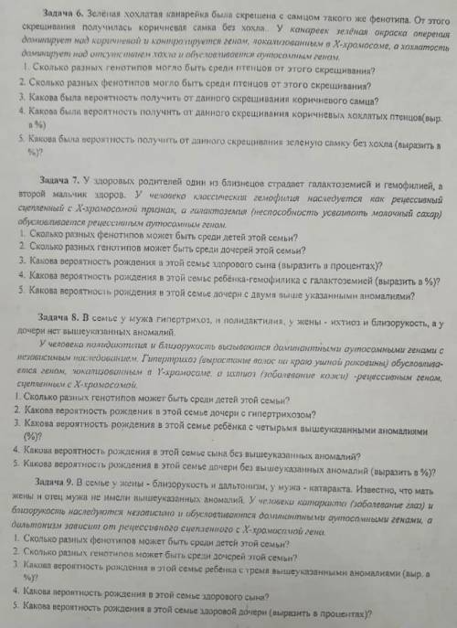 Задачи по генетике, желательно с решением :)