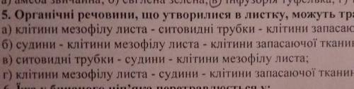 Якими структурами можуть транспортуватися органічні речовини, що утворилися в листку?