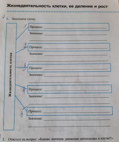 , как заполнить эту схему?