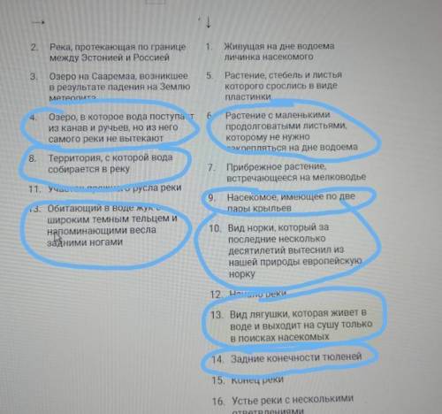 ответит на вопрос которые я обвела