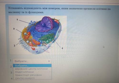 Подберите ответ ко всем цифрамответ нужен 100% правильный!