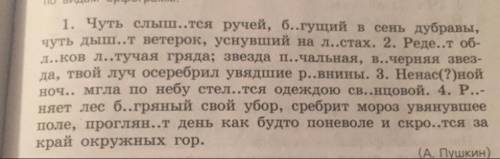 Выпишите из этого текста существительные !