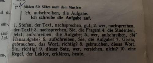 Bilden Sie Sätze nach dem Muster