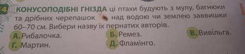 Конусоподібні гнізда ці птахи будують з мулу, багнюки та дрібних черепашок над водою чи землею завви