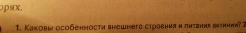 Каковы особенности внешнего строения и питания актнии