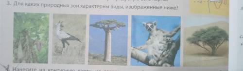 Для каких природных зон характерны виды, изображённые ниже?
