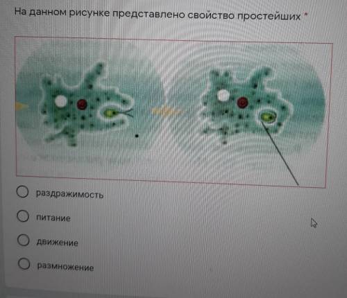 На данном рисунке представлено свойство простейших * раздражимость Питание движение размножение