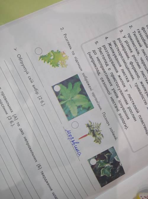 подписать это я не знаю как -_-