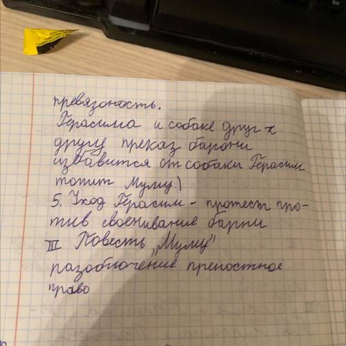 Написал сочинение про муму по плану