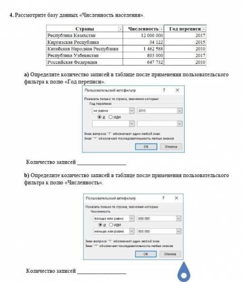 Определите количество записей в таблице после применения пользовательского фильтра к полю «Год переп