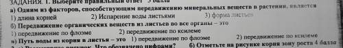 ответьте нормально , без всяких слов на подобии -есть ответы в телеграмме.. ..и тому подобное