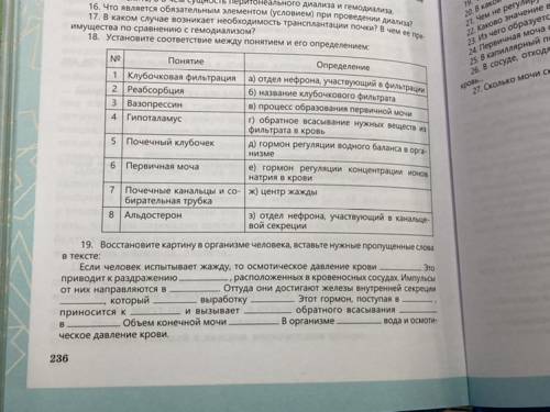 Установите соответствие между понятиями