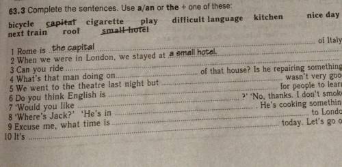 63.3 Complete the sentences. Use a/an or the + one of these