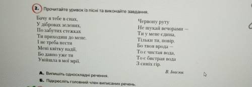 2. ) Прочитайте уривок із пісні та виконайте завдання. Бачу я тебе в снах, Червону руту У дібровах з