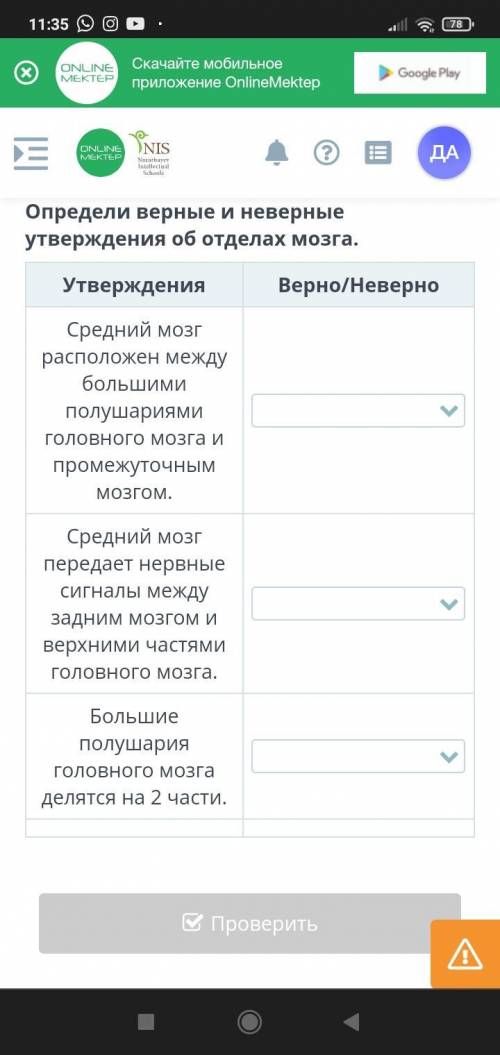 Определи верные и неверные утверждения об отделах мозга. (((