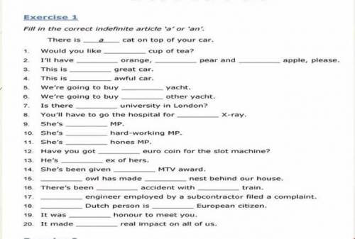 Exercise 1 Fill in the correct indefinite article 'a' or 'an'.There isWould you like_ cat on top of