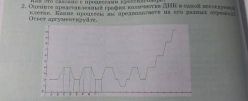 синтез Оцените представление представленный график количества ДНК в одной исследуемой клетки Какие п
