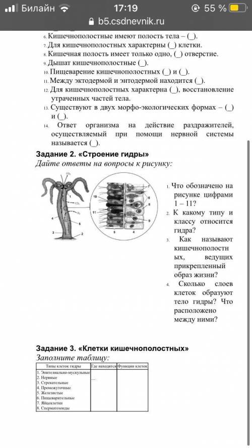 Вопрос 10;13;14 и в задании 2 № 3 и 4